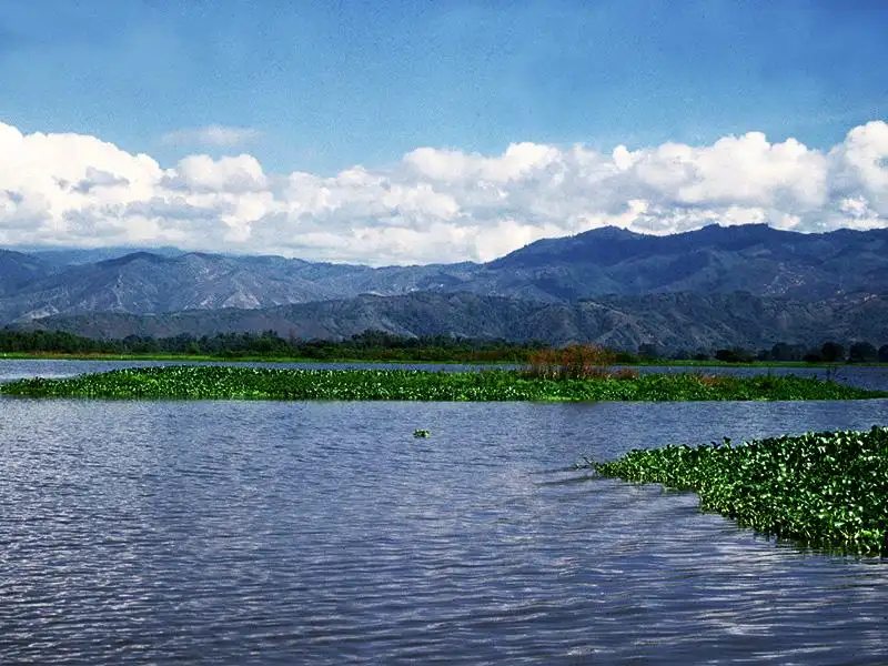Qué hacer en Buga: Guía de Actividades, Fe y Cultura #1 5 Laguna de Sonso, Buga: paisaje natural con agua, vegetación y montañas. Ideal para visitantes del Hotel Casa Encanto.
